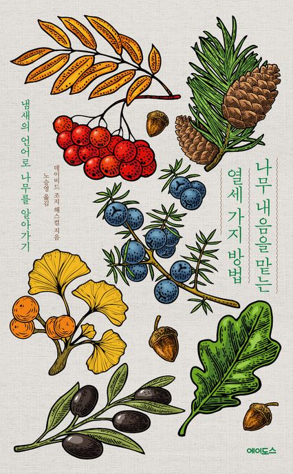나무 내음을 맡는 열세 가지 방법 표지