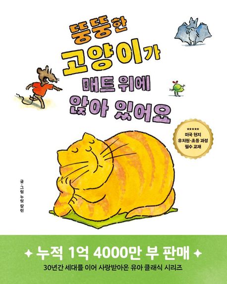 뚱뚱한 고양이가 매트 위에 앉아 있어요