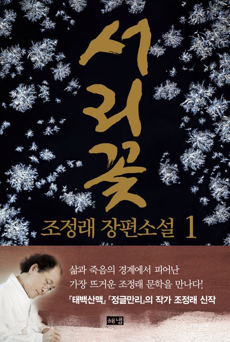 서리꽃 : 조정래 장편소설 . 1 