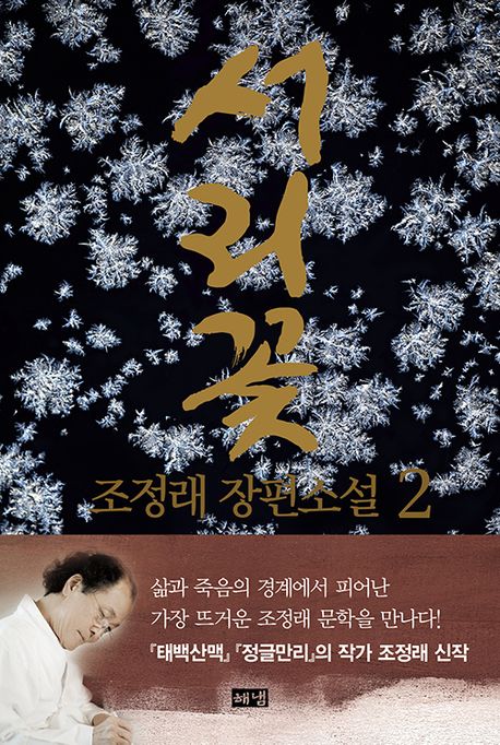 서리꽃 : 조정래 장편소설 . 2 