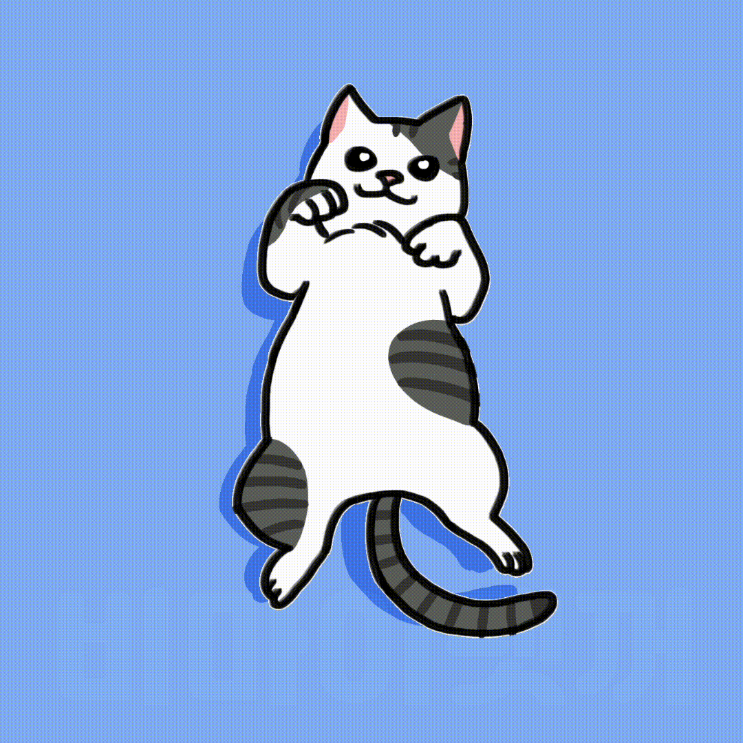 더쿠 - 고양이가 배를 보이고 뒹굴 거리는 이유 5가지!