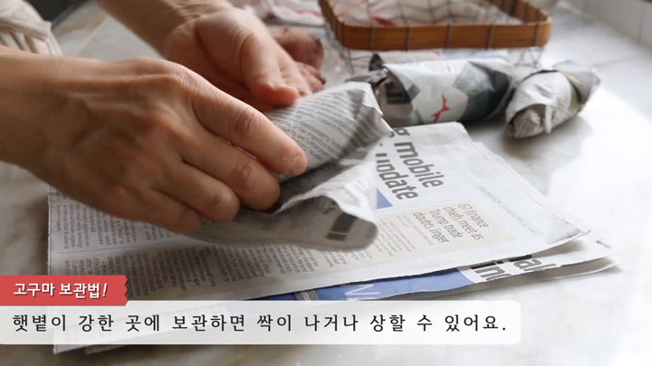 고구마, 보관부터 맛있게 먹는 꿀팁 고구마, 보관부터 맛있게 먹는 꿀팁