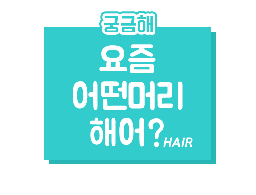 헤어핏
