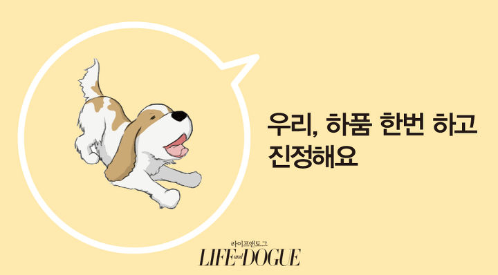 dfc42be1a7b34dbd9c2baac9561509d6.JPG