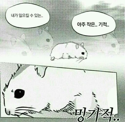 뭐라도 해야지