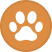 활성화된 강아지