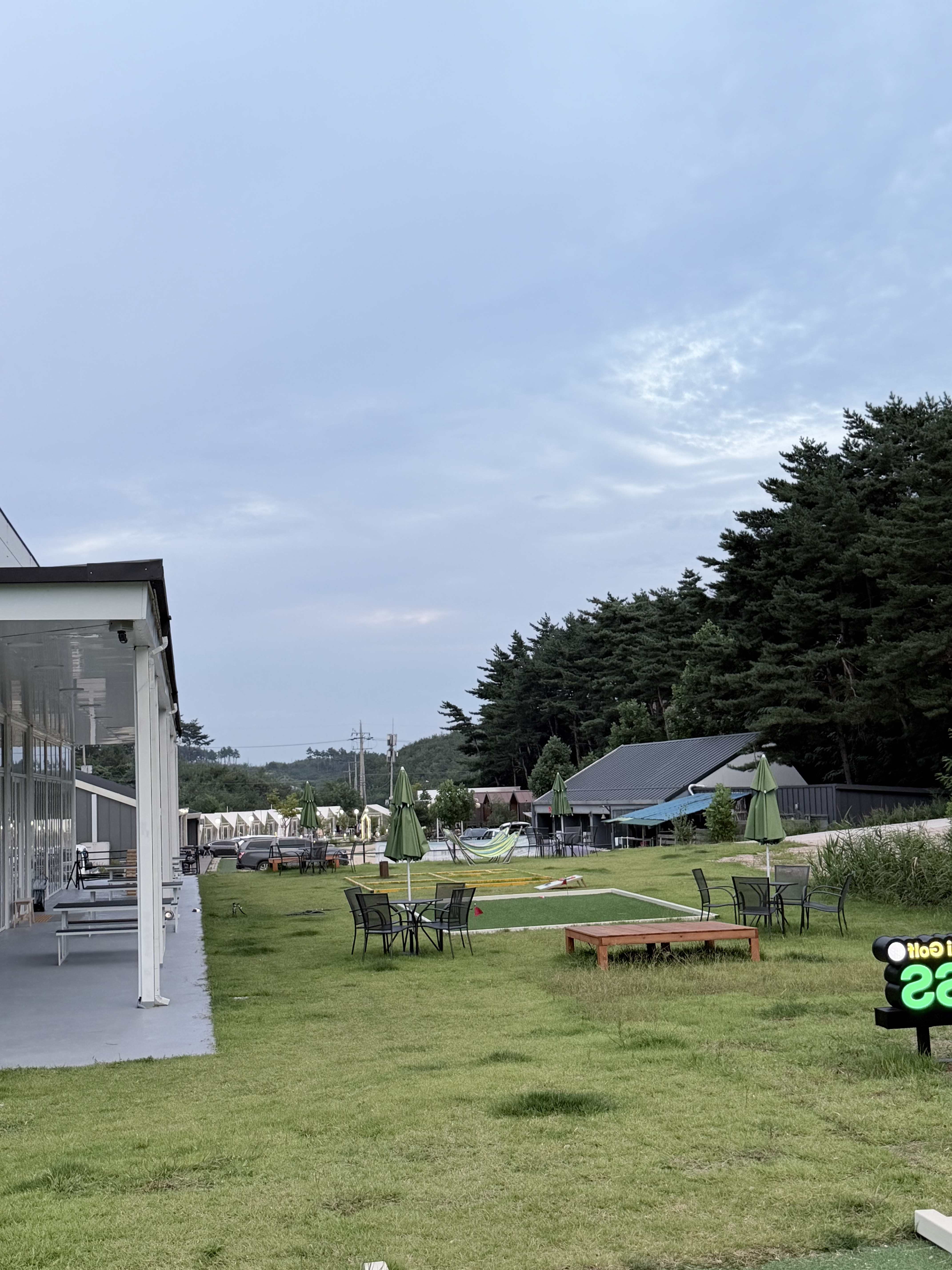 헤이마이그린 10