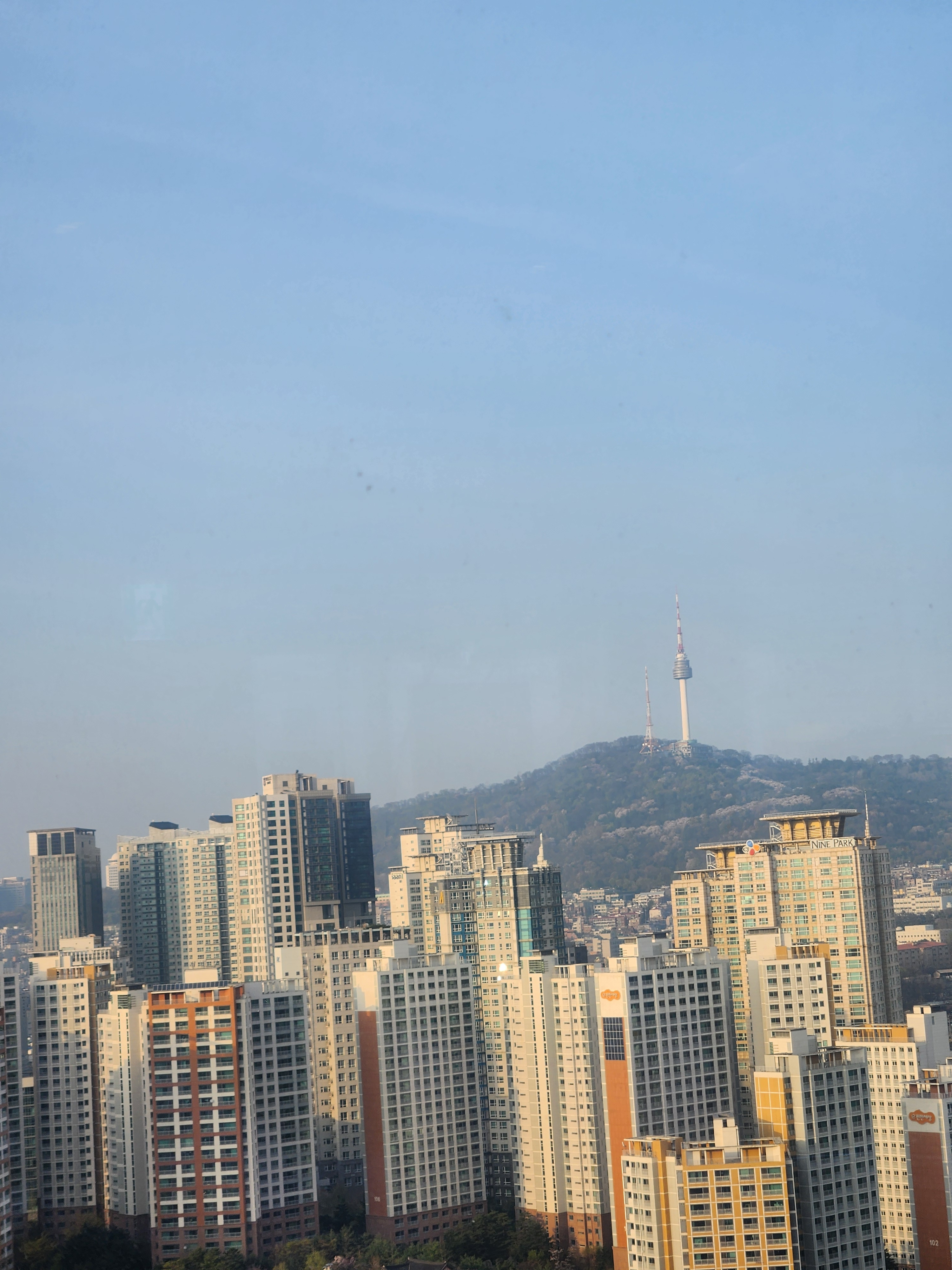 더26 대표 사진