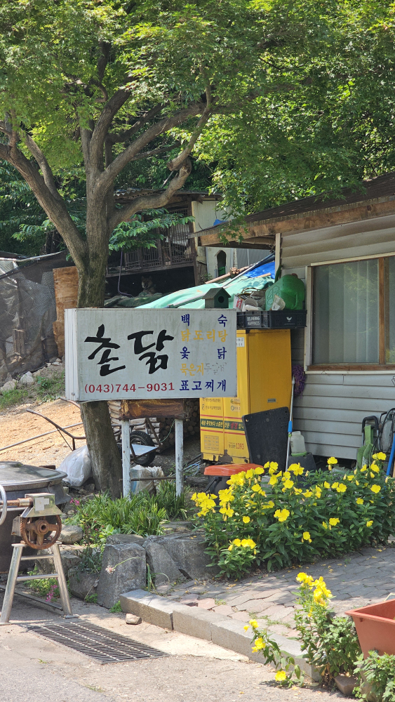 Chondak (촌닭) 2