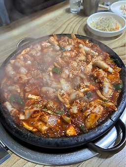 바다속친구들 6