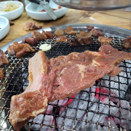 고마루 사진 2