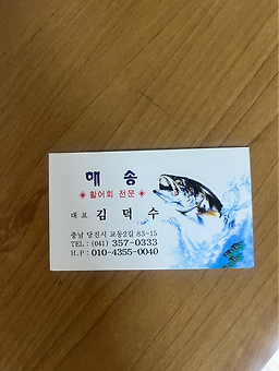 해송 5