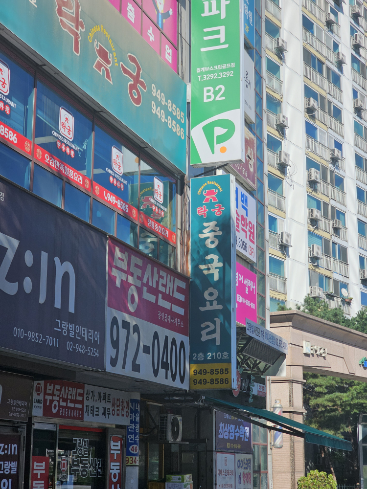 락궁 2