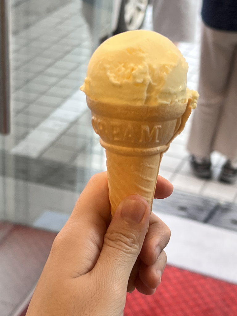 송이하랑 사진 4