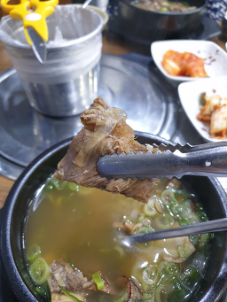 도담 6