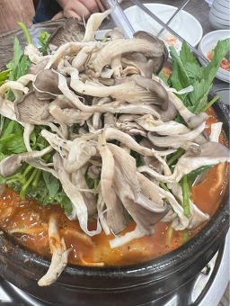 Megihanmadang (메기한마당) 3