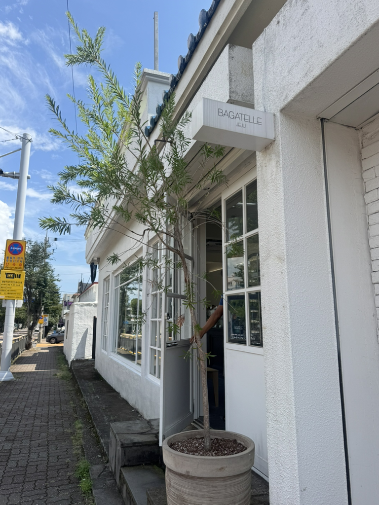 바가텔 사진 8