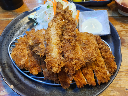 카리카츠 외 1 6