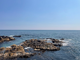 공석횟집 1