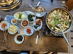 낙동청둥오리 1