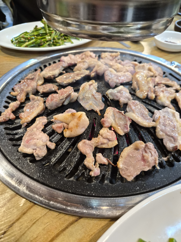 Nakdongsaengori (낙동생오리) 2