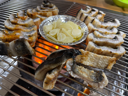 Sangoljangeo (산골장어) 1