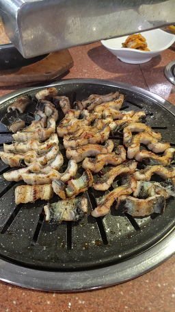 등대장어 1