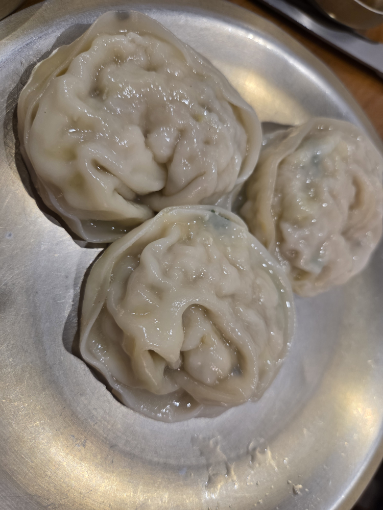 설눈 1