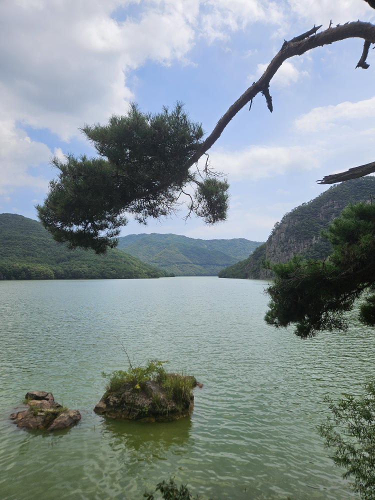 Halmaejip (할매집) 1