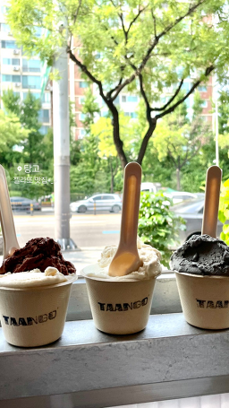 탕고 TAANGO 사진 7