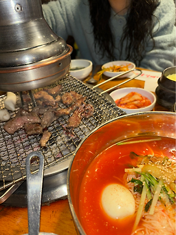 서울갈매기 사진 4