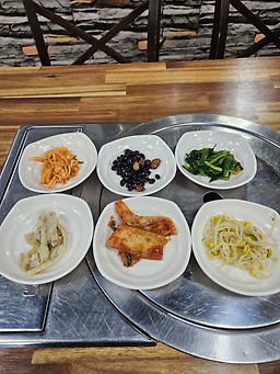 바다와육지 5
