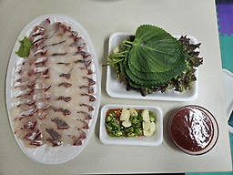 바다와갯벌 사진 3