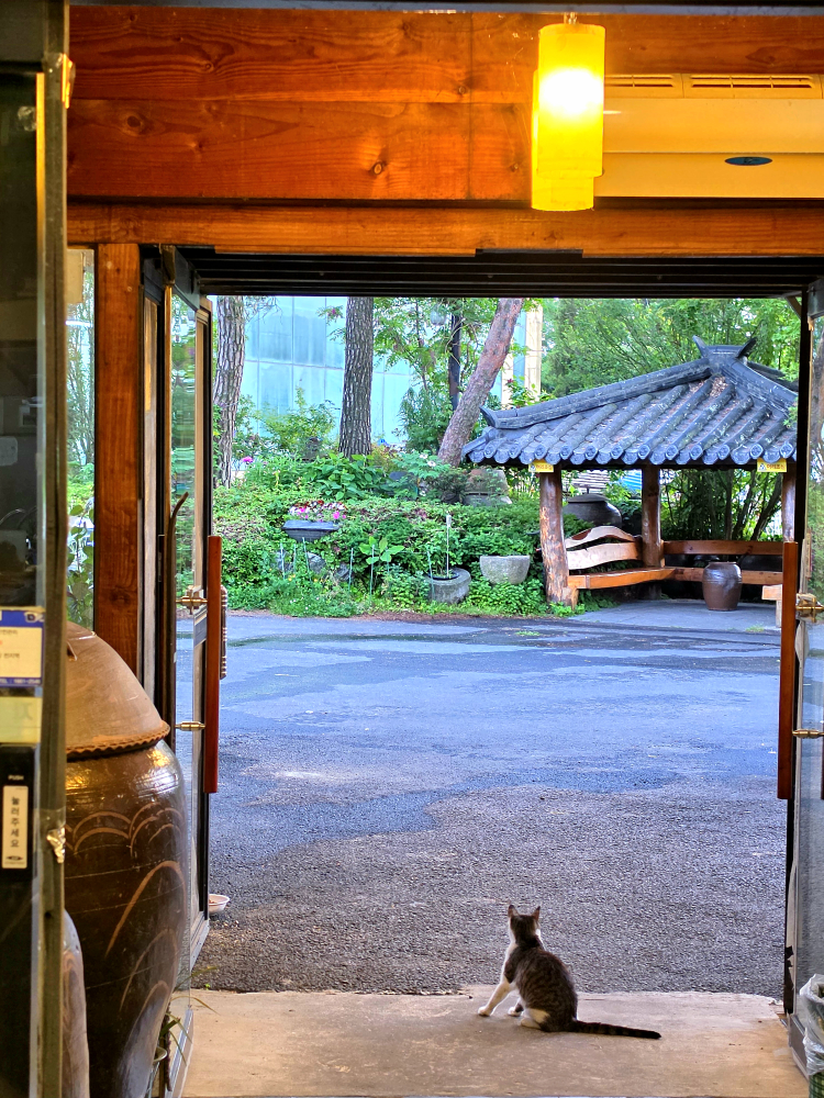 Semaorinongwon (세마오리농원) 2