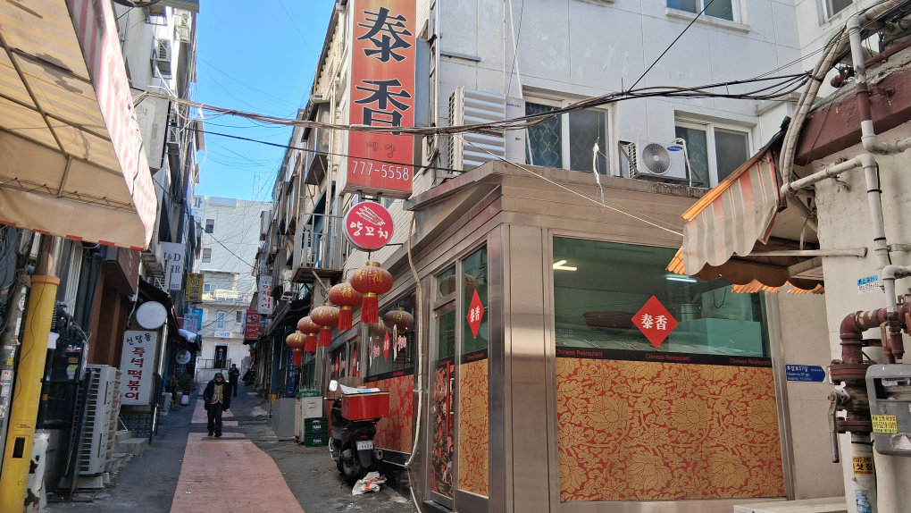 태향 사진