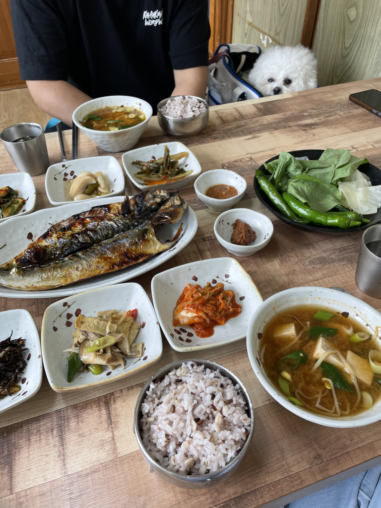 고장밭 사진 2