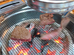 Dunnaeyeokhanu 5