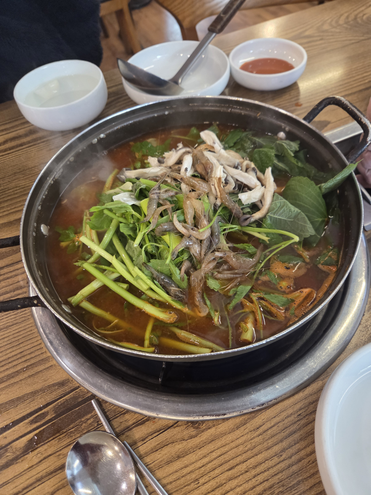 메기대감 6