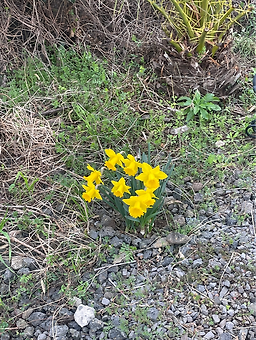 마씸 본점 사진 8