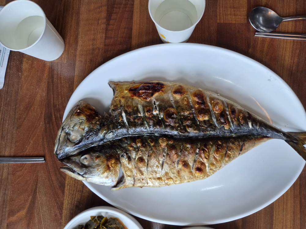 큰여 대표 사진