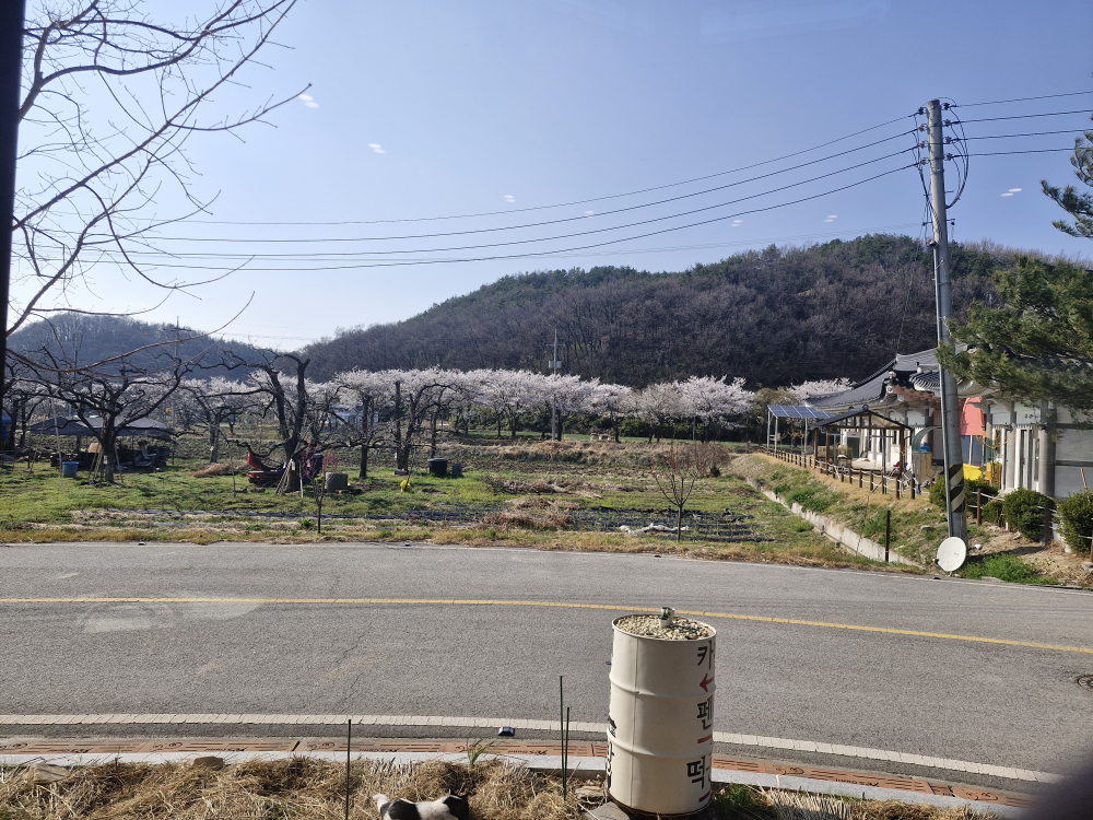 Kapegoidama (카페고이담아) 1