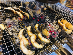 섬진강풍천장어직판장 사진 2
