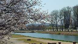 Samnammae (삼남매) 1