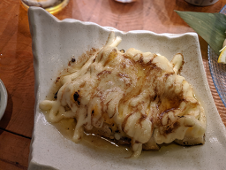 단단 사진 5