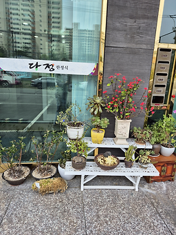 다정한정식 1