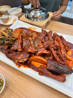 인정코다리 3
