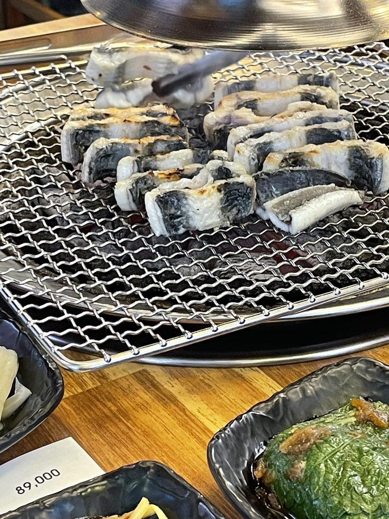 더기네장어 5