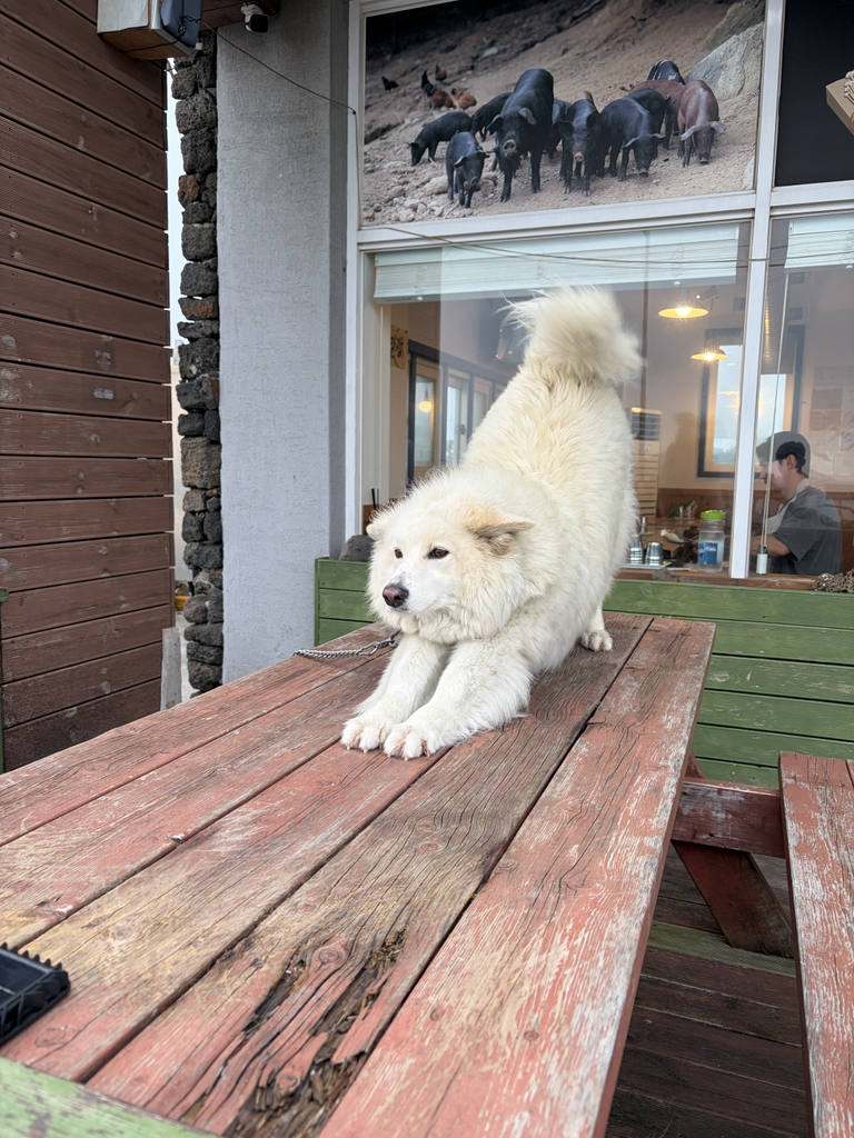 톤대섬 대표 사진