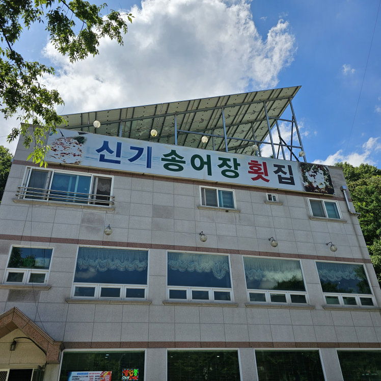Singisongeojanghoetjip (신기송어장횟집) 3