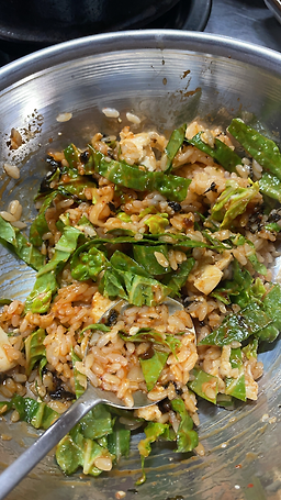 차돌 6